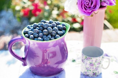 Countries that Produce The Most Blueberries in The World