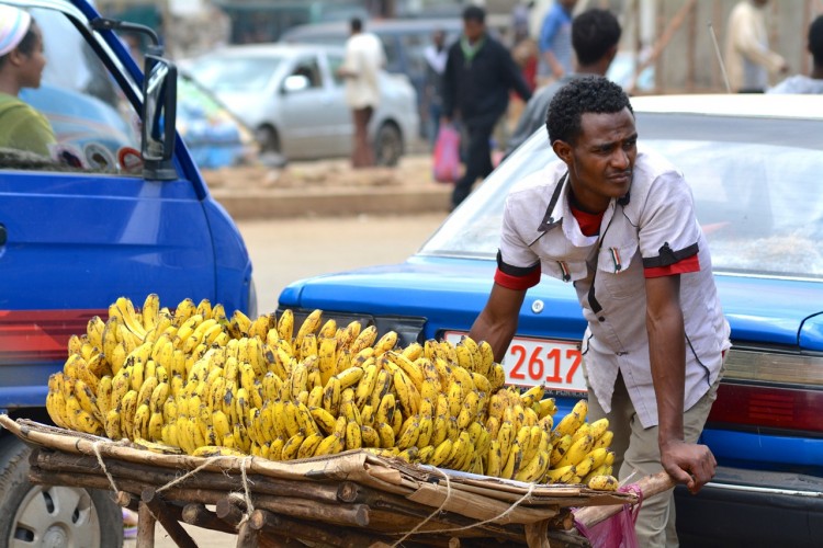 10 Countries that Export The Most Bananas in The World 