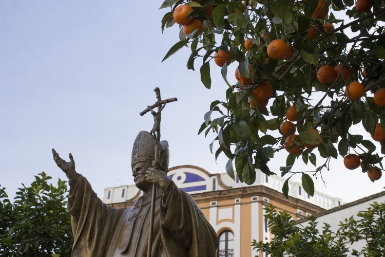 Countries that Produce the Most Oranges in the World
