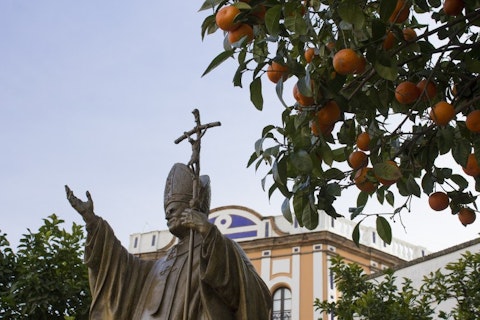 Countries that Produce the Most Oranges in the World