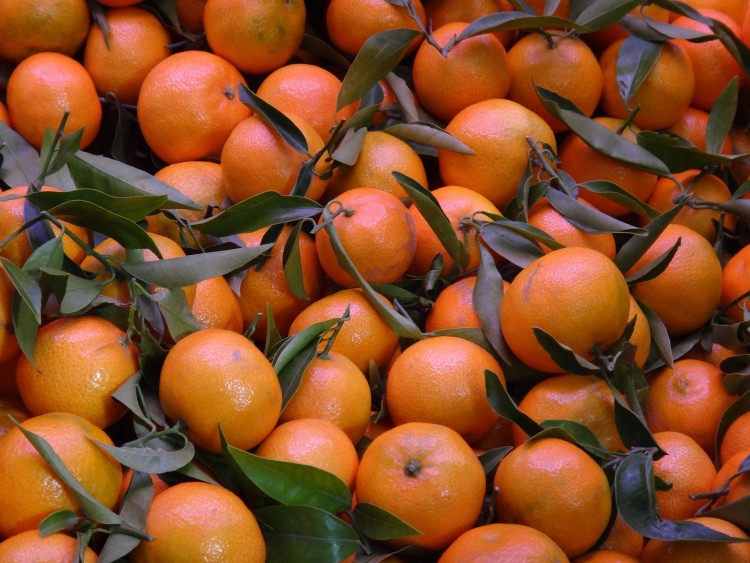 Countries that Produce the Most Oranges in the World