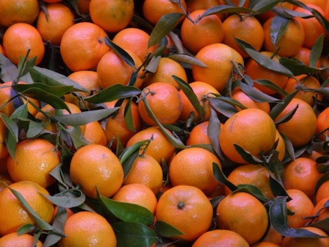 Countries that Produce the Most Oranges in the World