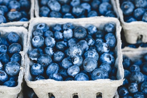 Countries that Produce The Most Blueberries in The World