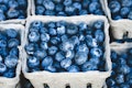 10 Countries that Produce The Most Blueberries in The World