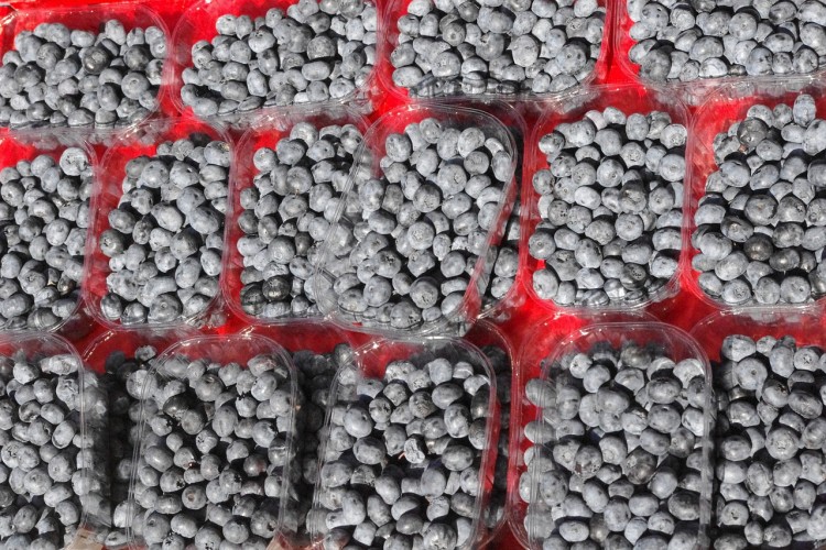 Countries that Produce The Most Blueberries in The World 