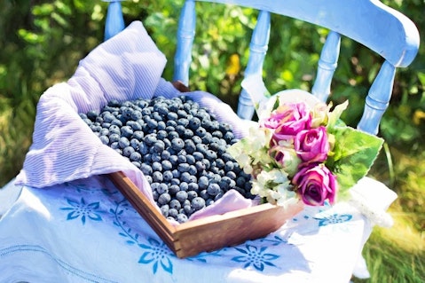 Countries that Produce The Most Blueberries in The World