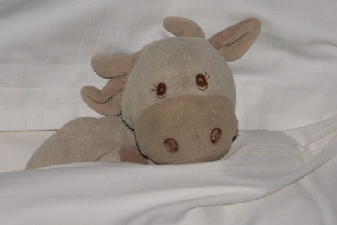 Best Toys to Buy on Amazon Under 25 Dollars