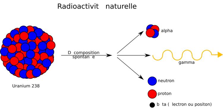  Countries that Export the Most Uranium in the World