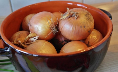 Countries that Produce the Most Onion in the World