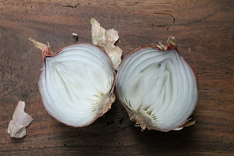 Countries that Produce the Most Onion in the World