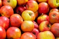 10 Countries that Export the Most Apples in the World