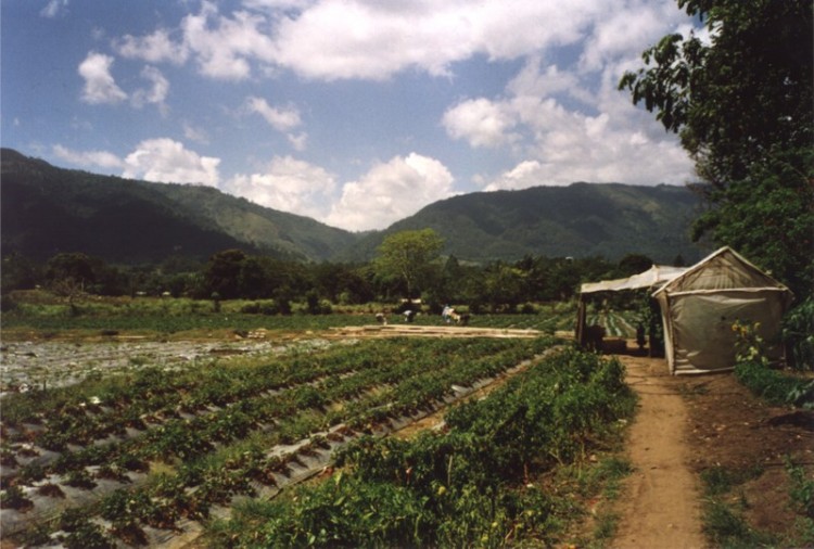 Best Places to Retire in the Dominican Republic 