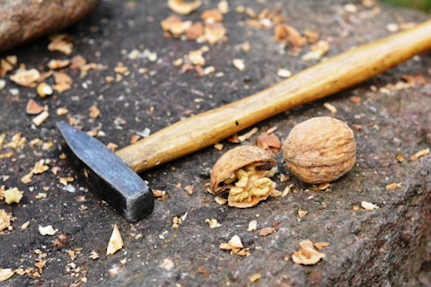 Countries that Produce the Most Walnuts in the World