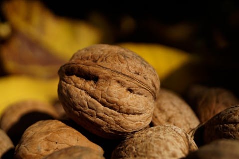 Countries that Produce the Most Walnuts in the World