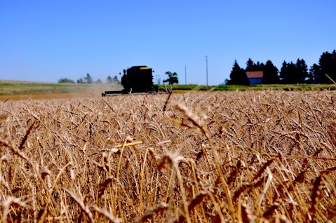 20 Countries with the Highest Wheat Consumption