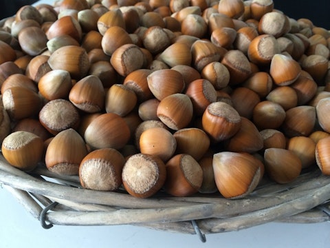 hazelnuts-447997_1920