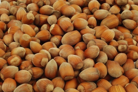 6 Largest Hazelnut Producing Countries In the World