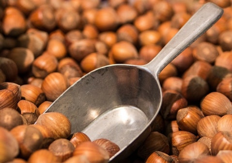 6 Largest Hazelnut Producing Countries In the World