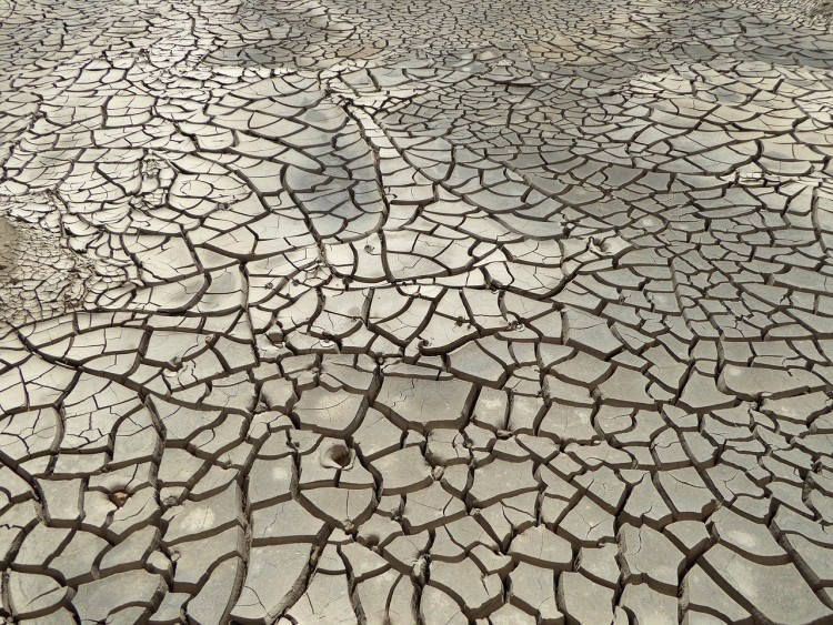 10 Countries that Will Run Out of Water in 20 Years
