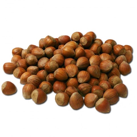6 Largest Hazelnut Producing Countries In the World