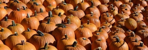 15 Best Apple and Pumpkin Picking Farms Near New York City or New Jersey