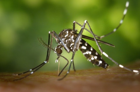 Top 10 Countries With Zika Virus in Americas