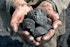 10 Best Coal Stocks To Invest In
