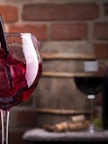 15 Best Merlot Wines Under $50