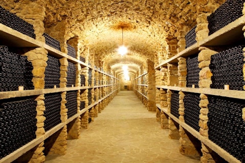 10 Best Red Wines For People Who Don't Like Wine