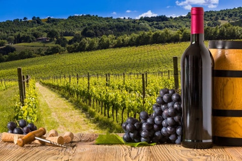 10 Best Sold Bottles of Wine