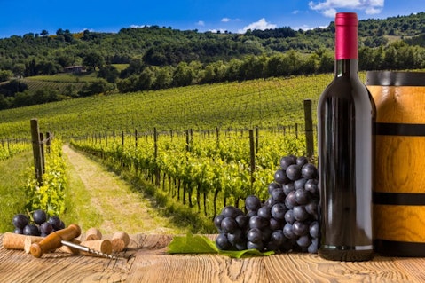 10 Best Sold Bottles of Wine