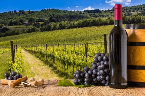 30 Most Popular Wine Brands in America