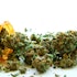 Look Beyond Pharma to Invest in Marijuana Industry