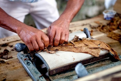 cigar, cigars, cuba, cuban, dry, handle, handling, handmade, hands, havana, leave, leaves, male, man, method, old, people, person, process, processing, roll, rolling, smoke, tobacco, work, working, wrap, wrapping