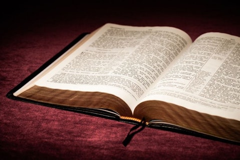 Most Popular Best Selling Bible Translations in 2018