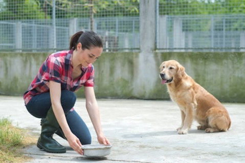 14 easiest first jobs in the world