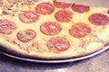 15 Largest Pizza Chains in the US