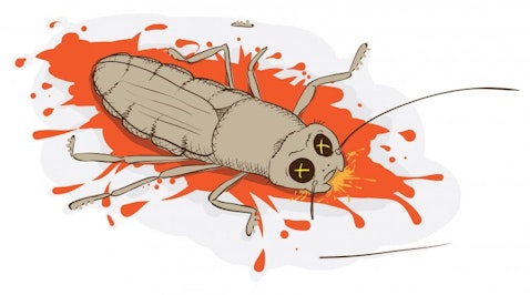 Cochineal Insects Products: 7 Foods Made With Crushed Bugs