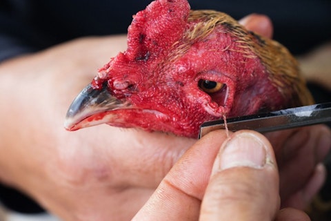 10 Sickest Disturbing Things You Can Find on the Deep Web