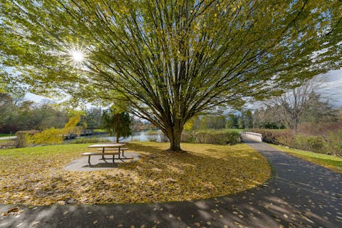 25 Sunniest States in the US