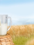 10 Healthiest Milk And Milk Alternatives For Toddlers And Kids