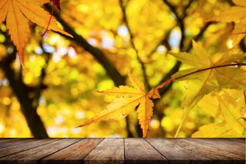 15 Best Places To Travel in November in Europe, Asia and Tropical Destinations