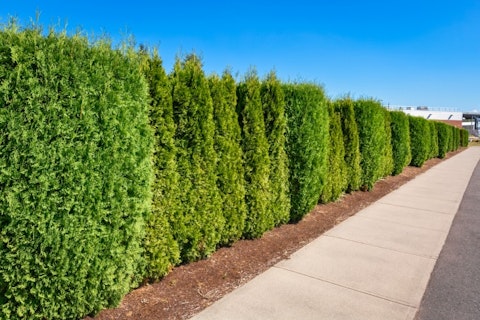 5 Easiest Fences To Install Yourself