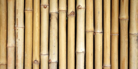 11 Most Painful Cruel Horrific Deaths and Execution Methods in History