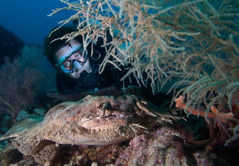 26 Crazy Conspiracy Theories That Were Proven True