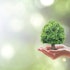 10 Best Sustainability Stocks to Invest In