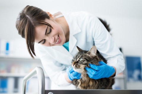 25 Best States For Veterinarians