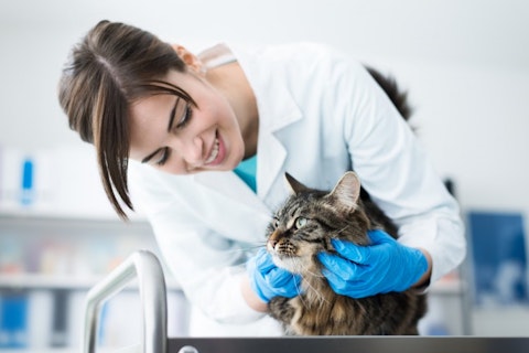  25 Best States For Veterinarians 
