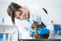 6 Veterinary Schools in California with the Highest Acceptance Rates
