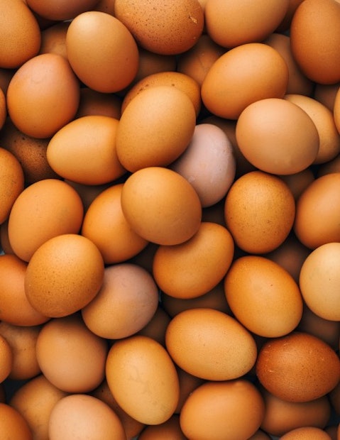 10 Largest Egg Producing Countries In The World